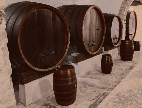 Barrels in the wine cellar