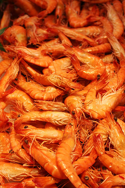 istock Beautiful Shrimps background. Seafood. 145915991