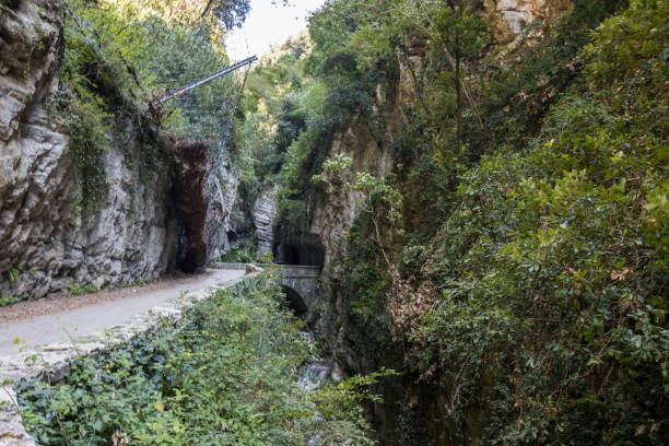 istock Scenic road on Lake Garda 1459161064