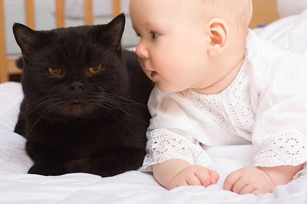 istock Cute baby with cat 145916133