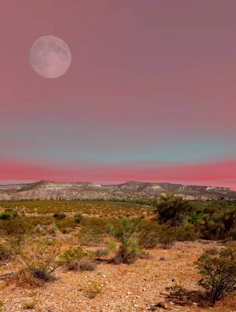 istock Sonora Desert Arizona Moonrise 1459161796