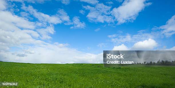Green Blue Stock Photo - Download Image Now - Agricultural Field, Animal Wildlife, Backgrounds