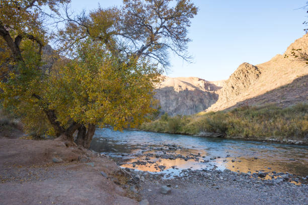 istock Charyn river. Landmark of Kazakhstan 1459163707