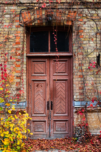 Old painted wooden door with vines in autumn, Alytus, Lithuania