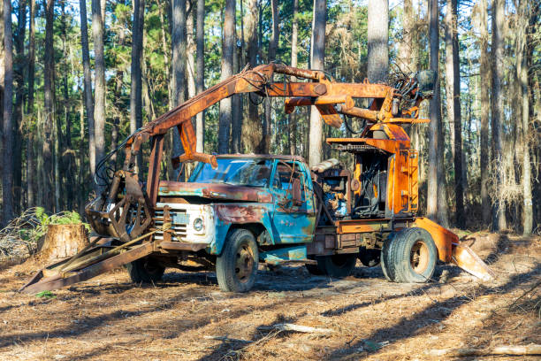 istock Abandoned non-working broken construction equipment in the forest 1459170516