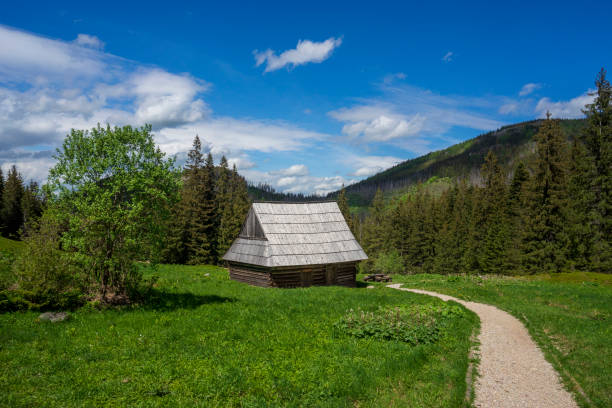 An old cottage on Olczyska Glade. Tatra Mountains.
