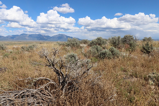 Desert landscape environment of sagebrush, mountains and a cloudless clear blue sky of the Great Basin Nevada, USA