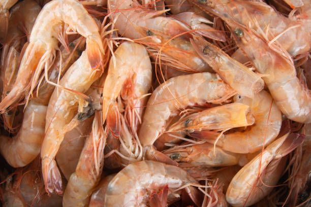 View Fresh shrimp in the bowl top view