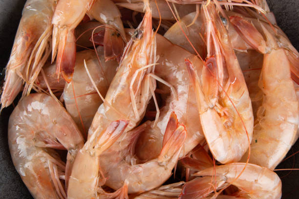 View Fresh shrimp in the bowl top view