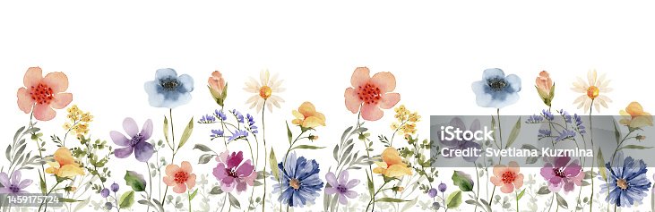 istock Seamless border with delicate multicolored meadow flowers, watercolor illustration. 1459175724
