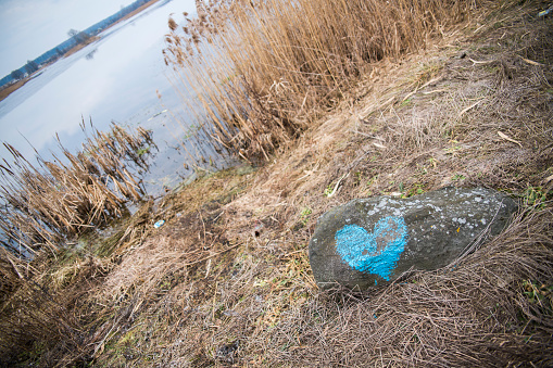 A rock with a blue heart on the shore of the lake in the countryside in Belarus.