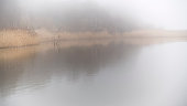 Foggy lake in the countryside on the Baltic Sea shore in the winter.