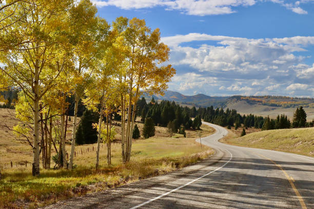 istock Looking Down The Road In An Aspen Scene 1459179661