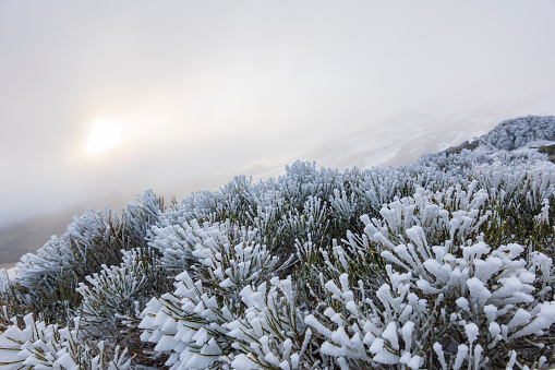 Frozen landscape in winter in the Sierra de Gredos, Spain