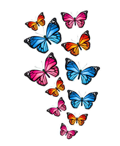 istock Flock of color monarch butterflies, isolated on the white 1459179994