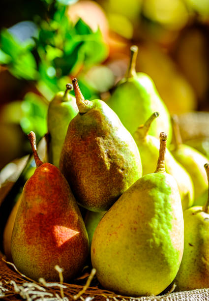 istock vegetable at a farmers market 1459180979