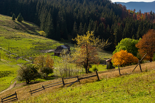 Beautiful autumn scenery. Fabulous autumn view of the mountain valley. Gorgeous morning scene of mountain village, Carpathians, Ukraine, Europe. Beautiful autumn scenery.
