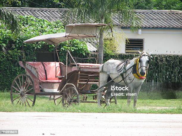 Foto de Carruagem e mais fotos de stock de América Latina - América Latina, Animal, Antigo