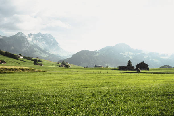 絵のように美しいアルプシュタインアッペンツェル山の丘の風景インナーローデンスイスの牧歌的な孤立した農場の建物 - mountain pastures ストックフォトと画像