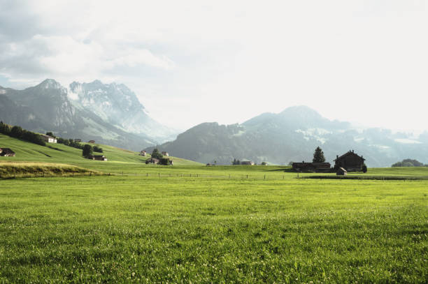 idylliczne, odosobnione budynki gospodarcze w malowniczym alpsteinie, appenzell, wzgórza górskie, krajobraz innerrhoden, szwajcaria - switzerland lake beauty in nature nature zdjęcia i obrazy z banku zdjęć