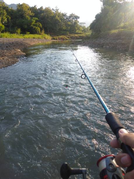 istock freshwater fishing 1459188291