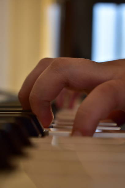 istock Pianist fingers shown on a close up as playing piano 1459191183
