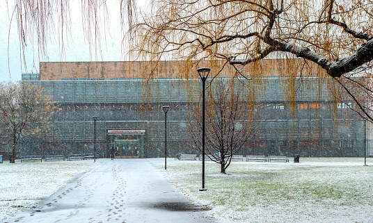 Cambridge, Massachusetts, USA - January 23, 2023: New Cambridge Public Library building during a winter snow storm. The library is well known for its innovative green environment-friendly and energy efficient design.