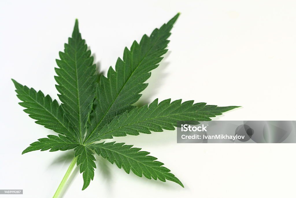 La foglia - Foto stock royalty-free di Pianta di cannabis