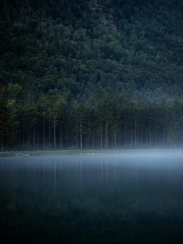 Low clouds fog misty mood reflection of tree forest in Lake Bluntausee Golling Salzburg in Austria alpine mountains