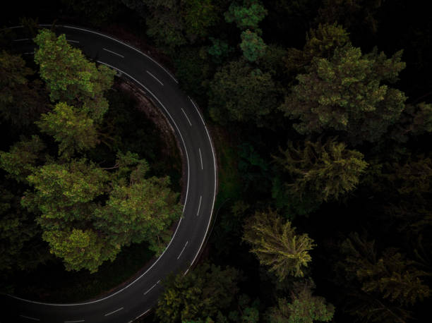 istock Curvy road winding through forest in Germany 1459197290