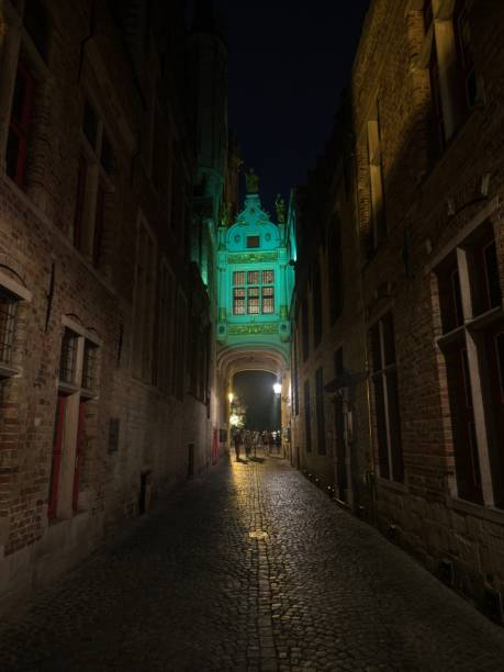 블라인드-에젤스트라트 블라인드 당나귀 거리 아치교는 벨기에 브뤼헤의 밤에 어두운 좁은 조약돌 골목을 조명했습니다. - bruges town hall 뉴스 사진 이미지