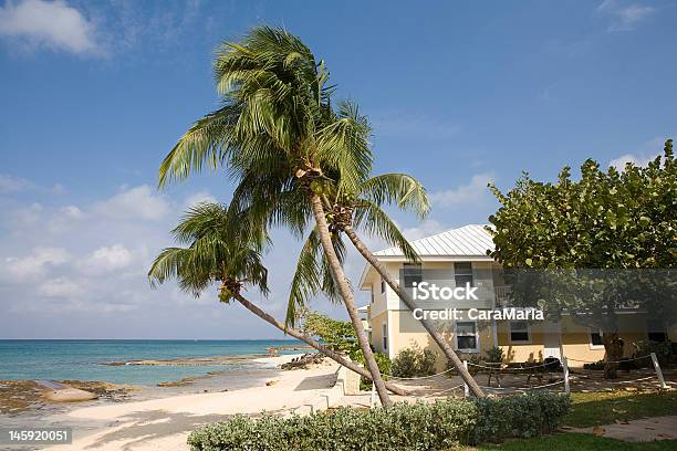 Grand Cayman Stockfoto und mehr Bilder von Baum - Baum, Buche, Bungalow