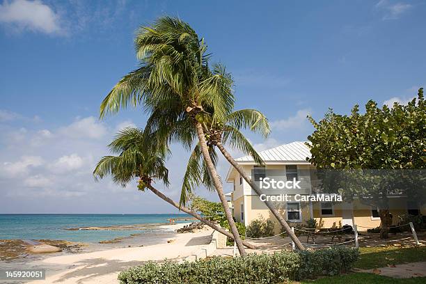 Foto de Grand Cayman e mais fotos de stock de Areia - Areia, Bangalô - Casa, Cabana - Casa