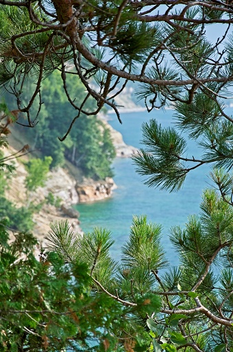 Pictured Rocks national Lakeshore provides stunning views of Lake Superior along this rocky coastline of the upper peninsula of Michigan. Above the shoreline through green pine branches.