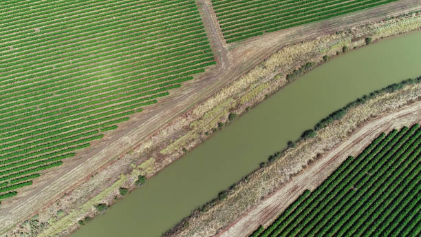 istock Man Made Irrigation channel in Central Victoria 1459201413