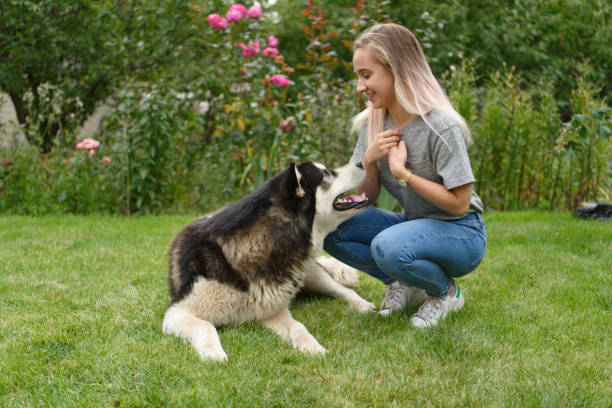 istock A girl with a dog 1459201453