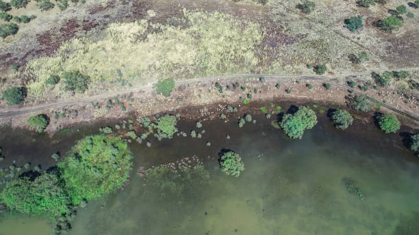istock Green Lake in Northern Victoria 1459202823