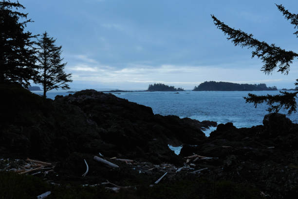 istock View of the ocean 1459204553