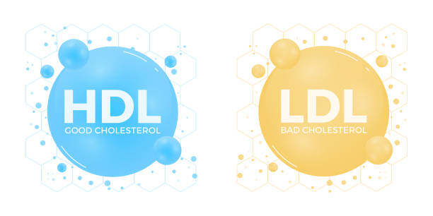 ilustraciones, imágenes clip art, dibujos animados e iconos de stock de el colesterol hdl bueno y el colesterol ldl malo son sinónimo de densidad de vasos sanguíneos. lipoproteína de alta y baja densidad. ilustración vectorial - lipoprotein