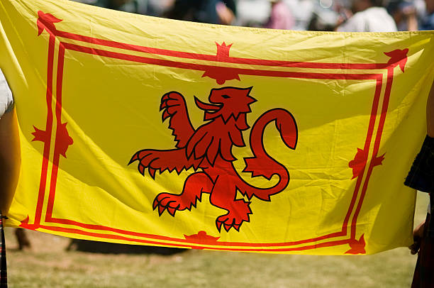 Scotttish Red and Yellow Rampant Lion Flag