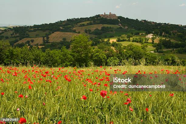 Foto de Poppy Campo E A Cidade No Alto Da Colina e mais fotos de stock de Botão - Estágio de flora - Botão - Estágio de flora, Campo, Casa