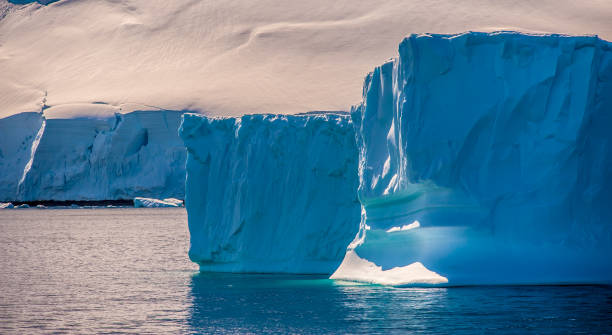 istock Icebergs in blue water; ice sheet in background 1459215125