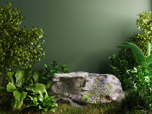 istock Stone platform pedestal in tropical forest for product presentation. 1459216403