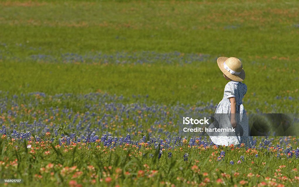 Bambina nel campo di bluebonnets e indiano painbrush - Foto stock royalty-free di Lupino blu