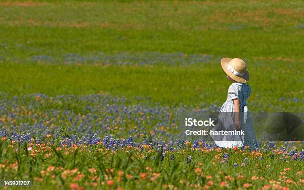 Bambina Nel Campo Di Bluebonnets E Indiano Painbrush - Fotografie stock e altre immagini di Lupino blu