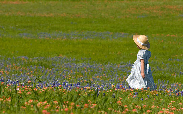 Little girl in field of bluebonnets and indian painbrush stock photo