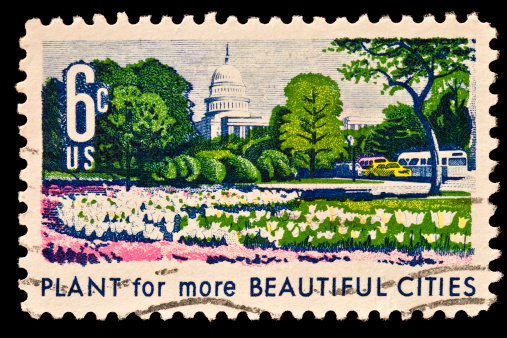 United States stamp publicizing cities,park,highways and streets.The image shows US capitol, azaleas and tulips.  Beautiful cities was issued in 1969.