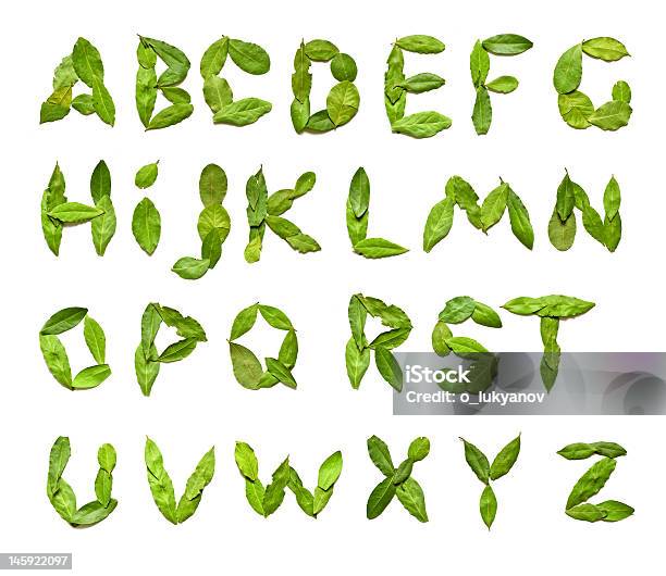 グリーン Leafs から A To Z - アルファベットのストックフォトや画像を多数ご用意 - アルファベット, 葉, 書体