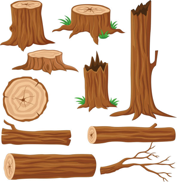 illustrazioni stock, clip art, cartoni animati e icone di tendenza di collezione di tronchi di legno e bauli dei cartoni animati - tree stump tree working environment