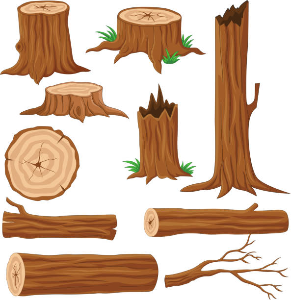 Cartoon wood logs and trunks collection Vector illustration of Cartoon wood logs and trunks collection tree stump stock illustrations